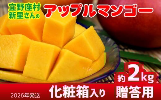 【2026年発送】宜野座村の新里守清さんのアップルマンゴー贈答用(約2kg) アーウィン マンゴー 甘い 夏 濃厚 お取り寄せ 贈り物 ランキング 完熟 お気に入り 美味しい 人気 おすすめ フルーツ 沖縄県 南国 産地直送 デザート 果物 宜野座村