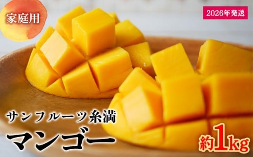 【2026年発送】サンフルーツ糸満のマンゴー家庭用 約1kg 産地直送 先行予約 フルーツ 果物 くだもの アップルマンゴー アップル アーウィン種 濃厚 デザート 贅沢 旬の果物 甘い おすすめ プレゼント 贈答 冷蔵 国産 沖縄 沖縄県産