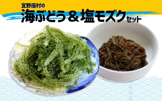 宜野座村の海ぶどう&塩モズクセット