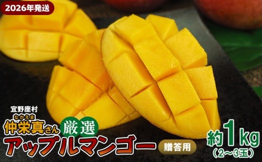 【2026年発送】宜野座村 仲栄真さん厳選アップルマンゴー贈答用(約1kg) アーウィン 果物 甘い 夏 濃厚 お取り寄せ Mango ランキング 完熟 お気に入り 美味しい 人気 おすすめ フルーツ 沖縄県 先行予約 食品 デザート 産地直送 送料無料