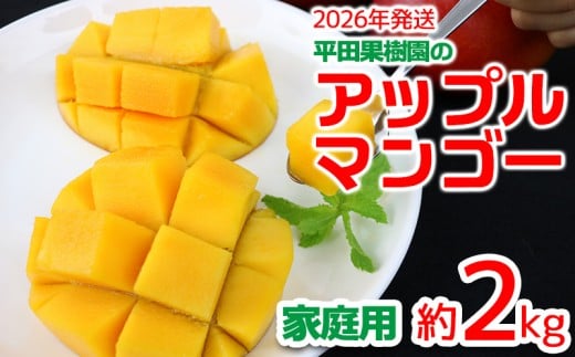 【2026年発送】平田果樹園のアップルマンゴー家庭用(約2kg) アーウィン 果物 甘い 夏 濃厚 ギフト Mango ランキング 完熟 お気に入り 美味しい 人気 おすすめ フルーツ 沖縄県 先行予約 食品 人気 産地直送 送料無料