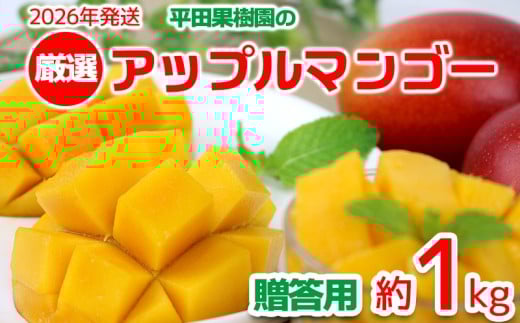 【2026年発送】平田果樹園の厳選アップルマンゴー贈答用(約1kg) アーウィン 果物 甘い 夏 濃厚 ギフト Mango ランキング 完熟 お気に入り 美味しい 人気 おすすめ フルーツ 沖縄県 先行予約 食品 デザート 産地直送 送料無料