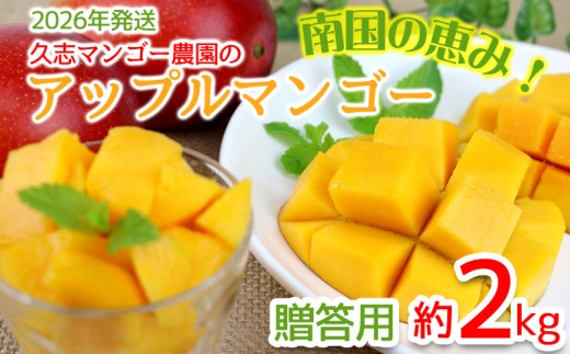 【2026年発送】南国の恵み!久志マンゴー農園のアップルマンゴー贈答用(約2kg) アーウィン 果物 甘い 夏 濃厚 ギフト Mango ランキング 完熟 お気に入り 美味しい 人気 甘味 フルーツ 沖縄県 先行予約 食品 デザート 産地直送 送料無料