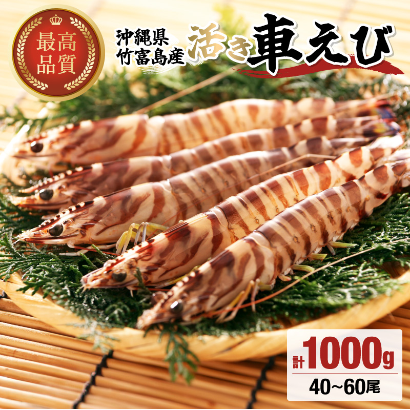 竹富島産 活車えび 1kg:40~60尾