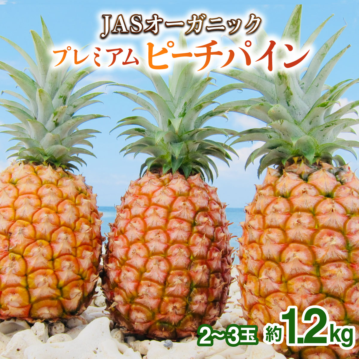 【JASオーガニック】プレミアムピーチパイン 約1.2kg 2~3玉 023-a026