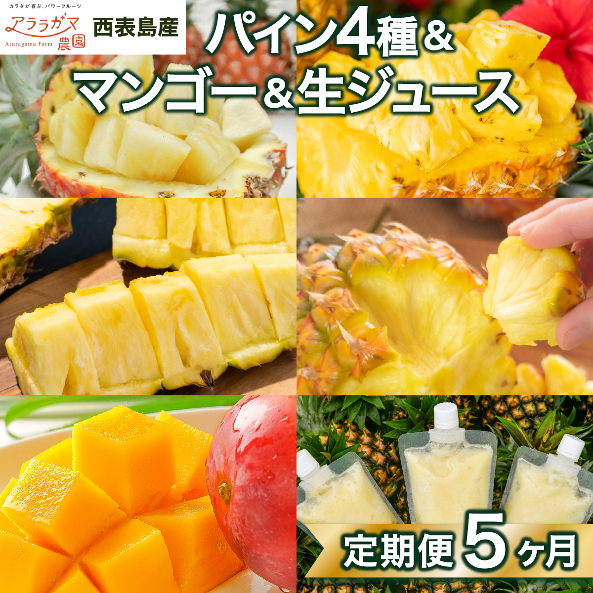 リピート率No.1！パイナップル4種類＆マンゴー＆生ジュースを5回にわけて毎月お届け！