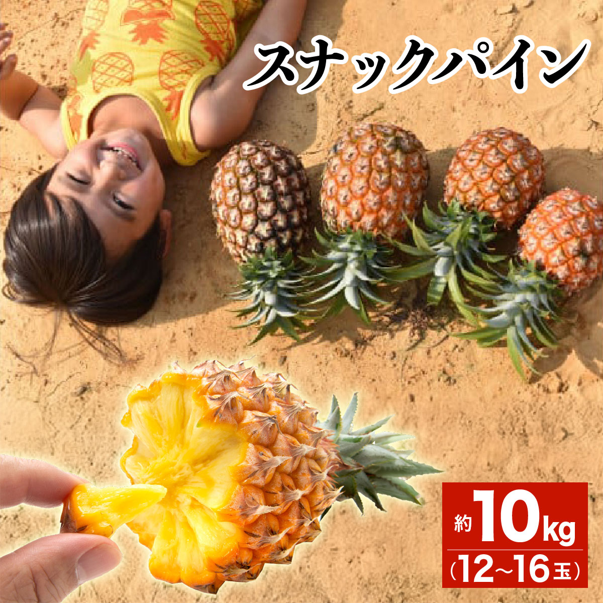2026年 先行予約 スナックパイン 約10kg 12~16玉 西表島ひらい農園 パイナップル 果物 フルーツ パイン 027-a012_2026
