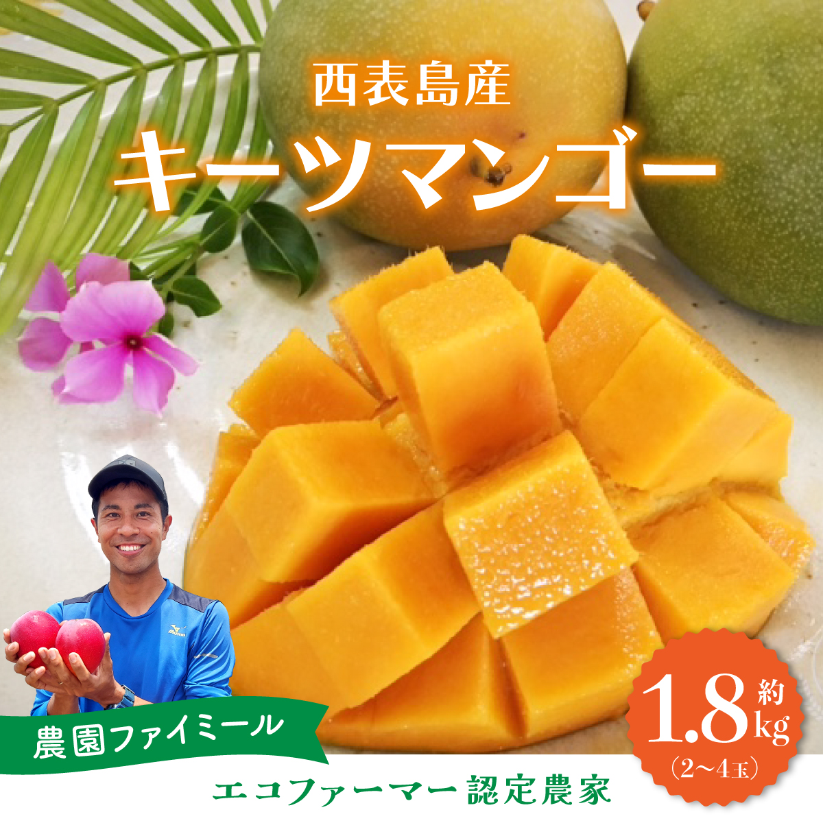 2025年 先行予約 マンゴー 約1.8kg 2～4玉 希少品種 濃密 キーツマンゴー 高糖度保証！農園ファイミール 果物 フルーツ