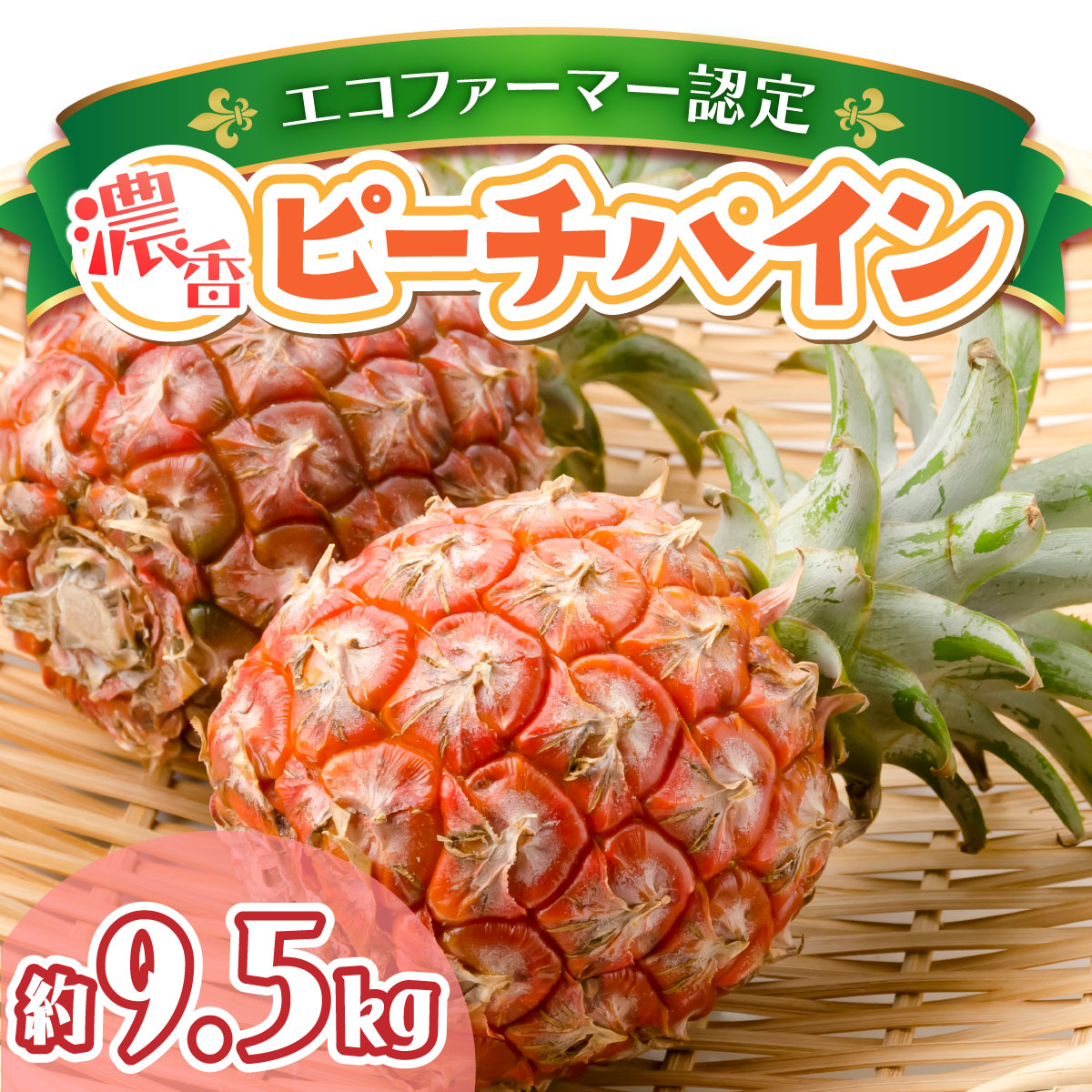 2026年 先行予約 ピーチパイン約9.5kg 濃香 パイン ★たっぷり大家族サイズ★西表島 絶品 初エコファーマー認定 036-a008_2026