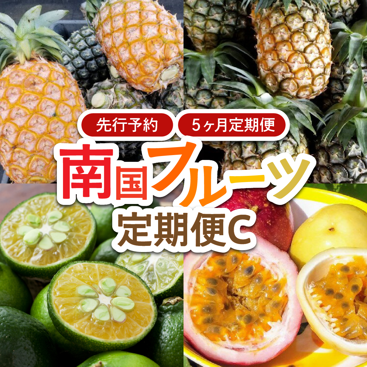 2026年 先行予約 定期便 5ヶ月 南国フルーツ 定期便C パイン シークワーサー パッションフルーツ 計4種類 果物 フルーツ 5回 お楽しみ 026-a011_2026