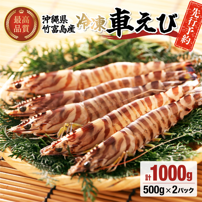 先行予約 車えび 1kg 竹富島産 冷凍車えび