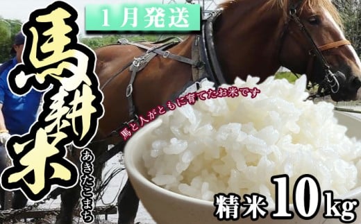 【 2026年 1月中旬より発送】 岩手県産 馬耕米 あきたこまち 精米 10kg /【株式会社スタディア】 お米 米 白米 こめ コメ 馬ふん堆肥 使用 ご飯 ライス おにぎり 弁当 単一原料米 10キロ 10kg 馬耕 馬 ウマ うま 産地直送 国産 おすすめ 人気