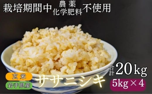 【 2025年 11月下旬より発送】 岩手県産 新米 ササニシキ 玄米 20kg / 農薬 化学肥料 :栽培期間中 不使用 武田家のお米【米農家 仁左ェ門】 米 こめ コメ ご飯 ライス おにぎり 弁当 単一原料米 20キロ 20kg 産地直送 農家直送 国産 おすすめ 人気