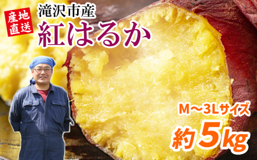 さつまいも 紅はるか 5kg 【駿河農園ベジスル】/ サツマイモ さつま芋 薩摩芋 5キロ 5キロ 5kg 5000g M L LL 3L 野菜 冬野菜 秋野菜 風物詩 定番 旬 焼き芋 やきいも 焼芋 おやつ 人気 美味しい 甘い 国産 岩手県産 産地直送 おすすめ オススメ
