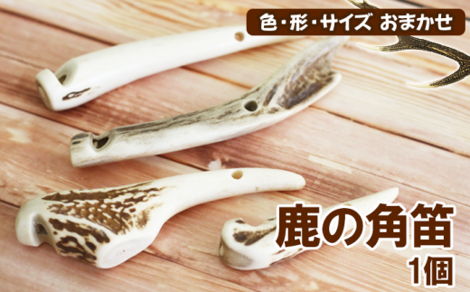 鹿の角 角笛 1個 【竜鹿】/ 鹿角 鹿 しか シカ グッズ 本物 加工 加工品 工芸 工芸品 クラフト 笛 ふえ ギフト プレゼント 贈り物 おしゃれ オシャレ 雑貨 不揃い ふぞろい 1個 人気 おすすめ