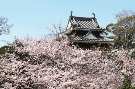 西尾城跡整備に関する事業