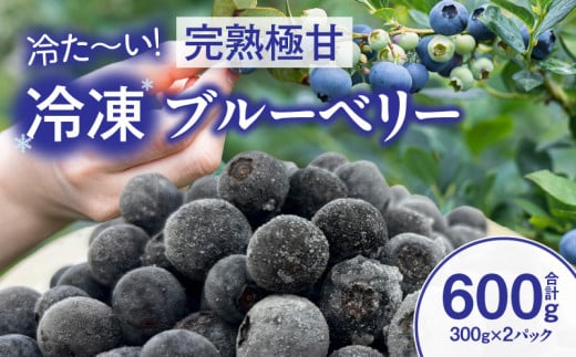無添加 カナダ産 冷凍 ブルーベリー 500g 中粒 Lサイズ 取り出し