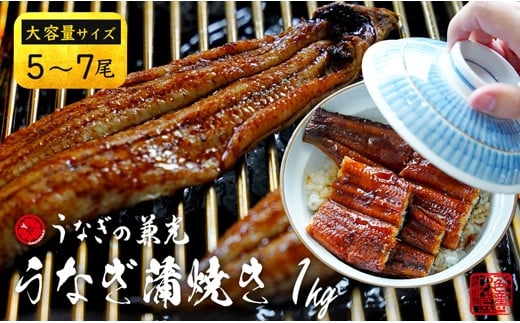 [土用の丑の日までにお届け]大ボリューム1kg 愛知県三河一色産 うなぎ蒲焼き (5尾〜7尾) 蒲焼き 総菜 国産うなぎ ウナギ 鰻 愛知県産 西尾市産 西尾一色産 タレ付き たれセット 蒲焼き かば焼き・U040-37-c1