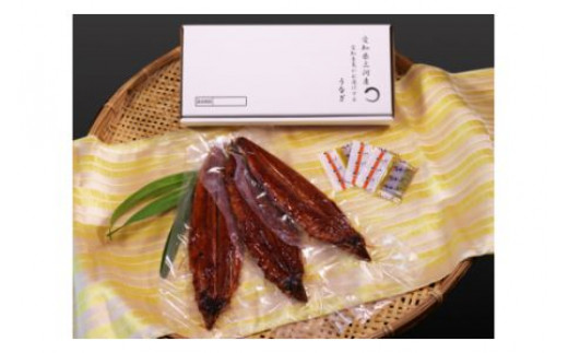 [通常用]三河産うなぎ特大サイズ蒲焼×3尾(530g〜550g) 鰻 ウナギ 国産うなぎ 本格 鰻 蒲焼き 愛知県 西尾市 愛知養魚 海鮮 惣菜 丑の日 土用の丑の日 ・A087-25