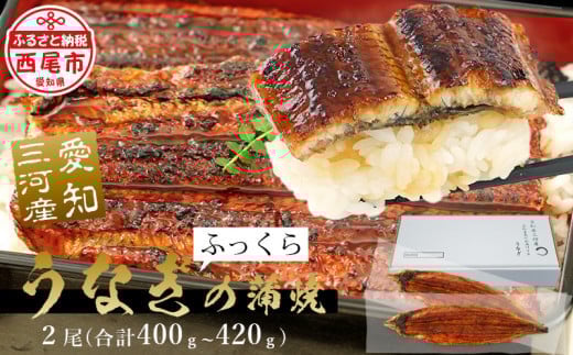 [通常用]三河産超特大 うなぎ蒲焼 2尾(合計約400g〜420g) 国産 西尾市 国産うなぎ 蒲焼き 鰻 ウナギ たれ付き 山椒付き 惣菜 愛知養魚 海鮮 丑の日 土用の丑の日 A090-19