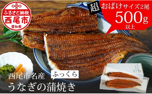 [通常用]国産 三河産 うなぎ 超おばけサイズ 蒲焼き 2尾 (合計500g以上) 国産うなぎ 本格 鰻 ウナギ 蒲焼 愛知県 西尾市 愛知養魚 たれ付き 惣菜 海鮮 丑の日 土用の丑の日 ・A116-21
