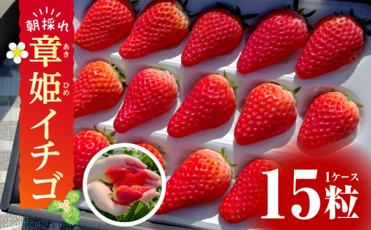 【2026年発送先行予約】章姫(あきひめ)イチゴ15粒×1ケース 【生産地】愛知県西尾市産・D033
