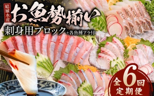 【6ヶ月定期便】(冷蔵)結城水産のお魚勢ぞろい!お刺身用ブロック N015-YF092