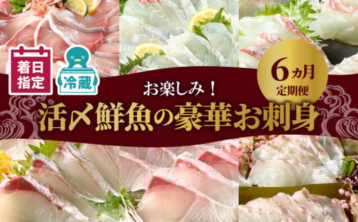 【お楽しみ定期便】延岡産活〆鮮魚の豪華 お刺身 6ヶ月定期便 鮮魚 延岡産 刺身 ヒラメ 真鯛 カンパチ 季節 魚 ブリ ハマチ 国産 昆布〆 おつまみ カルパッチョ 鮮魚 魚介類 食品 冷蔵 請関水産 グルメ お取り寄せ 宮崎県 延岡市 送料無料 N019-YF073