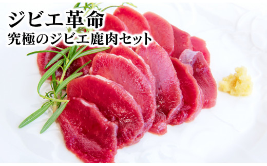 ジビエ革命～究極のジビエ鹿肉セット～ N028-YZA509