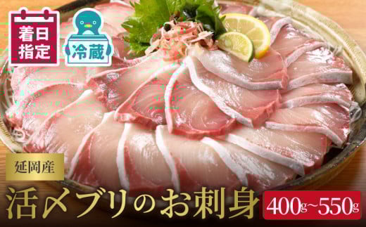 【冷蔵】【日向灘どれ】延岡産 活〆ブリ お刺身 400g～550g 【最短10日後以降発送可】チルド冷蔵 ぶりしゃぶ ぶり刺身 旬 国産 宮崎県 延岡市 請関水産 海産物 海の幸 魚介 お取り寄せ お取り寄せグルメ 送料無料 N019-YA2259
