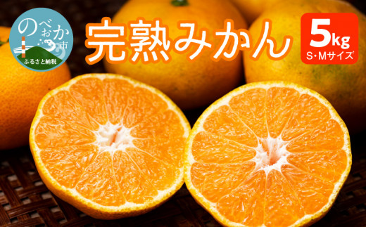 早生みかん及び普通みかん 5kg N0132-YA2269