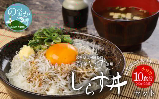 宮崎産しらす丼セット小分け10食分400g老舗醸造所特製醤油付き N065-YA175