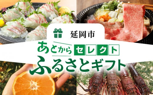 あとからセレクト4万円 N0159-YD0151