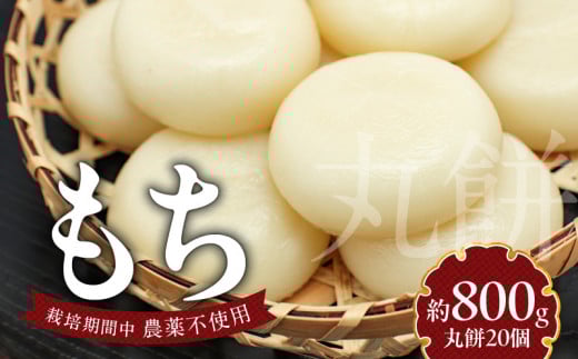 もち20個  N0182-YA0475