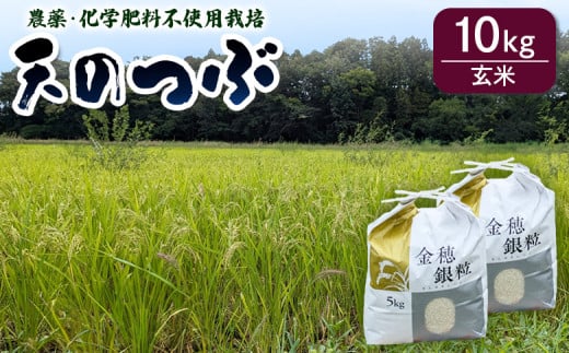 【先行予約】 天のつぶ 玄米 10kg 令和7年産 | 無農薬 農薬不使用 化学肥料不使用 お米 米 福島産 福島県産 南相馬 みさき未来
