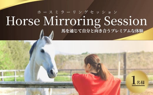 ホースミラーリングセッション 1名様 | 乗馬 乗馬体験 馬とのふれあい 体験チケット 研修 自己研鑽 自己内省 チームビルディング