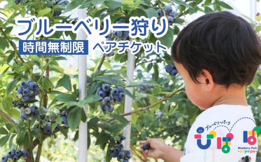 ブルーベリーパーク ぴぽぱ ペアチケット | ブルーベリー 狩り 2名 体験 入園券 無料券 夏季限定 [121237-001]