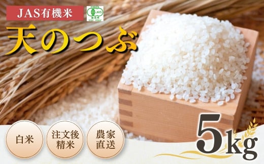 JAS有機米 天のつぶ 白米 5kg 令和7年産 新米 | 精米 JAS 有機米 米 コメ ブランド米 低温貯蔵庫 福島県産 根本有機農園