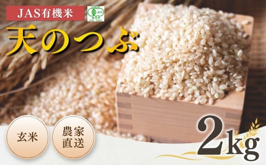 JAS有機米 天のつぶ 玄米 2kg 令和7年産 新米 | JAS 有機米 お米 米 コメ ブランド米 低温貯蔵庫 福島県産 根本有機農園