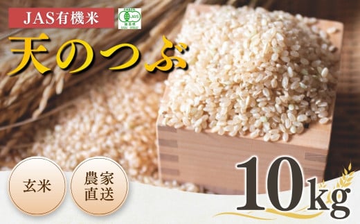 JAS有機米 天のつぶ 玄米 10kg 令和7年産 新米 | JAS 有機米 お米 米 コメ ブランド米 低温貯蔵庫 福島県産 根本有機農園