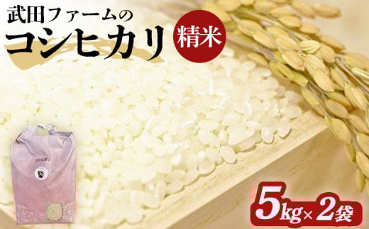 [先行予約] コシヒカリ 白米 10kg (5kg×2袋) | 福島 福島県産 福島産 精米 令和7年産 令和7年産米 武田ファーム サムランド[149448-001-02]