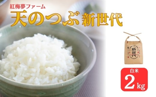 【先行予約】新米 天のつぶ「新世代」 白米 2kg | 令和7年産 2025年産 米2kg 精米 米2キロ ごはん 福島県産 南相馬 福島 紅梅夢ファーム