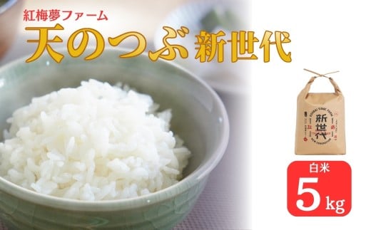 【先行予約】新米 天のつぶ「新世代」 白米 5kg | 令和7年産 2025年産 米5kg 精米 米5キロ ごはん 福島県産 南相馬 福島 紅梅夢ファーム