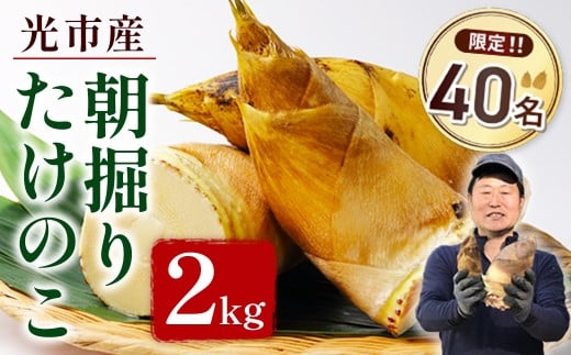 YA01 光市産朝掘りたけのこ 2kg  [2026年4月上旬から4月中旬にかけて順次発送予定]  山口県光市産 たけのこ 筍 タケノコ 国産 野菜 旬 新鮮 採りたて 煮物 味噌汁 炊き込みご飯