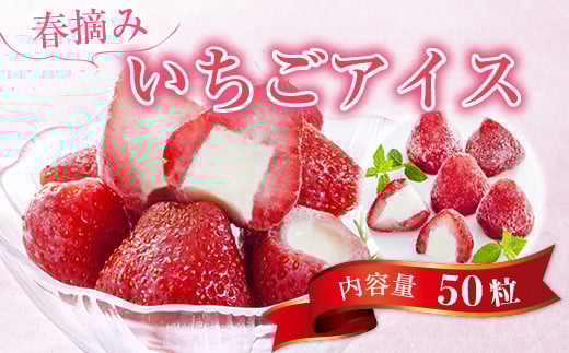 A010 春摘み いちごアイス（50粒） 金賞受賞 一口アイス 苺 アイス
