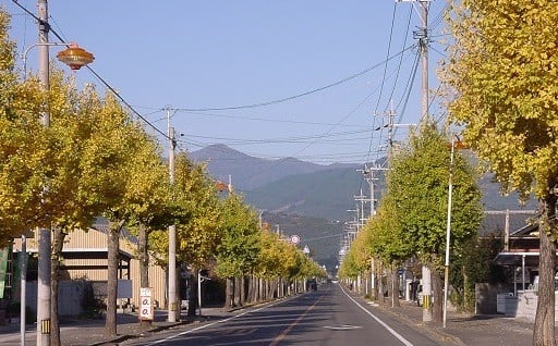 (１)指定なし(町長おまかせ)