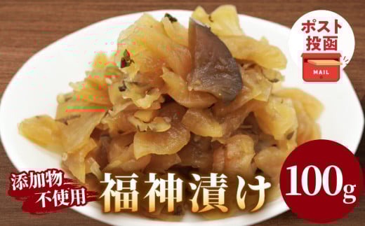 ＼ポスト投函／福神漬け100g おかず 漬物 野菜 加工品 国産_T037-0111