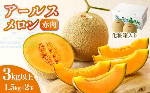先行予約≪期間限定≫hiro君ハウスのアールスメロン(赤肉)計3kg以上(化粧箱入り) フルーツ 果物 国産_T022-0011