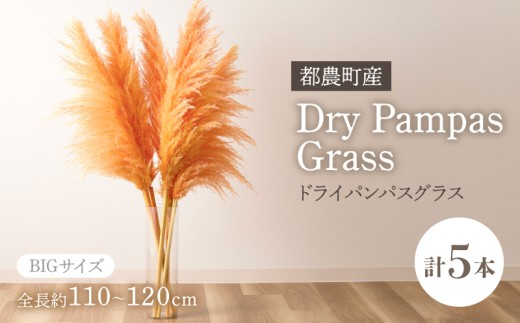 【2週間以内発送】ドライパンパスグラス(オレンジ)計5本 すすき インテリア 国産_T057-003