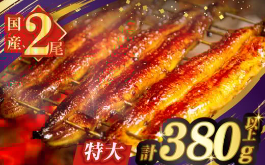 うなぎ蒲焼特大2尾(さんしょう・たれ付き)計380g以上 鰻 魚 魚介 加工品 国産_T026-0061